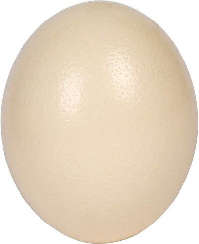 Premium high quality blank - premium,