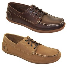 Timberland Odelay 4-Eye Scarpe