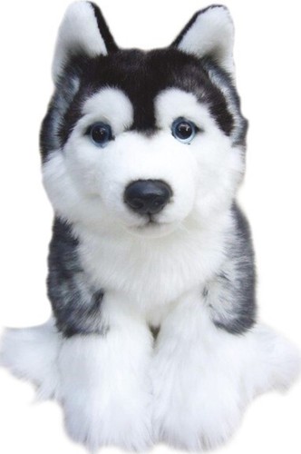 Peluche cucciolo husky
