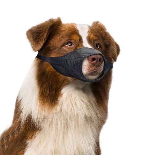 Museruola per cane taglia