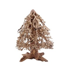 Bonsai di Abete L Radice Legno