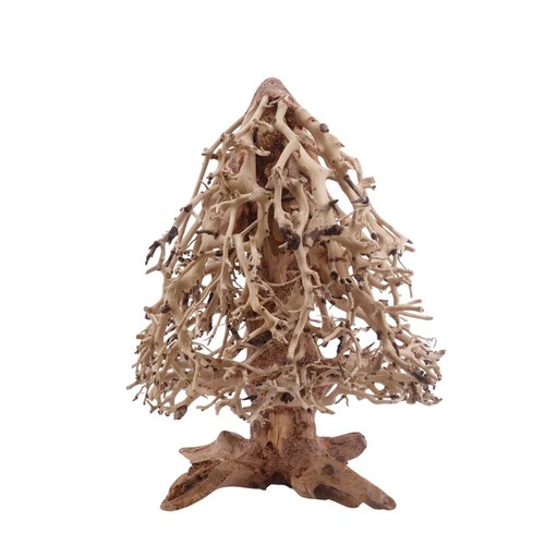 Bonsai abete radice legno - radice,