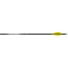Easton X10 Parallel Pro Arrows