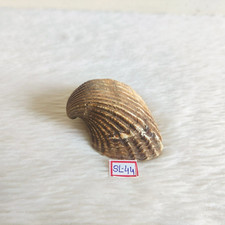 Vintage Bella Naturale Mare