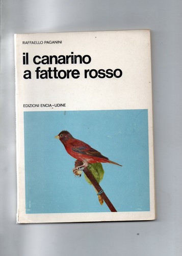 Canarino fattore rosso - il,