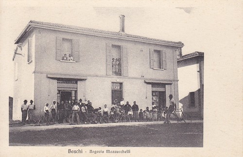 8395 boschi baricella negozio - 8395),
