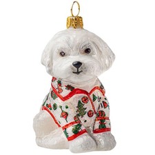 Joy to the World White Maltese