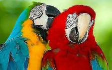 QUADRI MODERNI POSTER 100X70