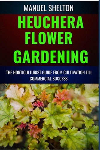 Heuchera flower gardening - heuchera,