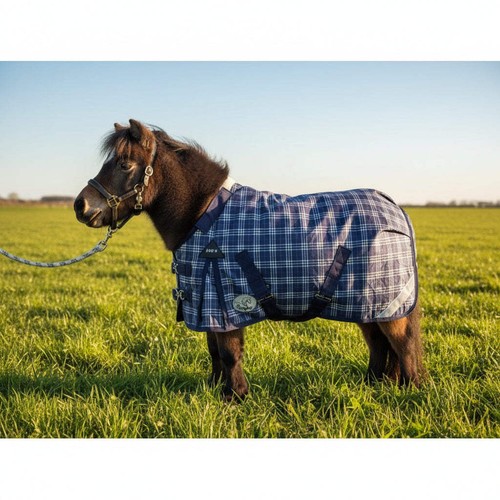 Ruggles shetland miniatura - ruggles,