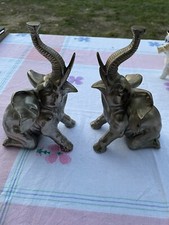 Coppia Elefanti Ferma Libro