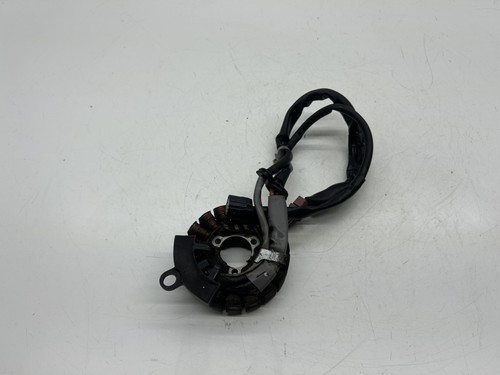 Statore alternatore magnete - statore,