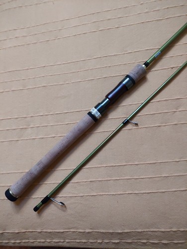 Canna spinning trota major - canna,