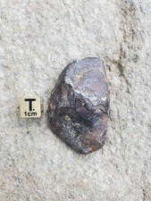 Esemplare di meteorite in