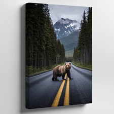 Maestoso orso marrone si erge