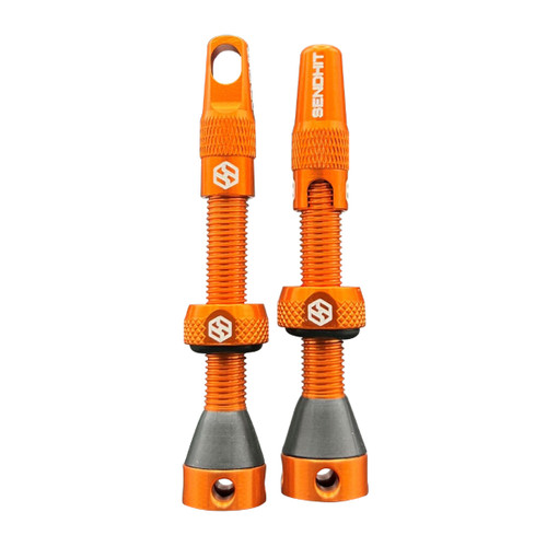 Valvole tubeless smontabile - valvole,