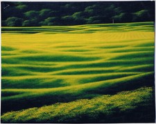 Daniele fissore olio su tela - su,