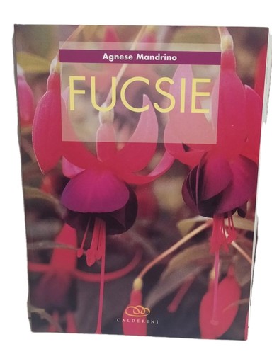 Fucsie agnese mandrino - agnese, prima