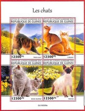 A1970 - GUINEA, ERRORE: ERRORE, FOGLIO MINIATURA - 2019 Gatti, Siamesi, Main Coon