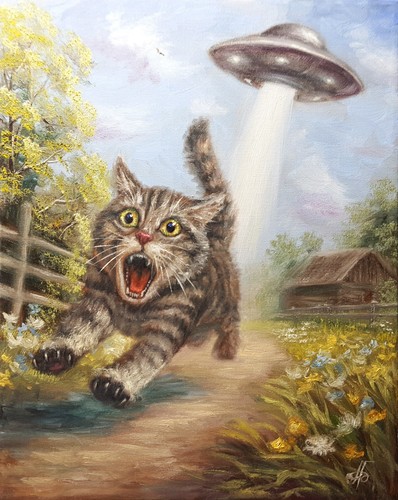 Divertente ufo gatto dipinto - gatto,