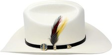 Cappello cowboy western