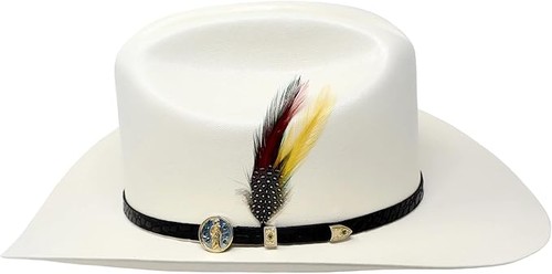 Cappello cowboy western