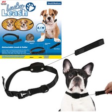 PDR*COLLARE GUINZAGLIO