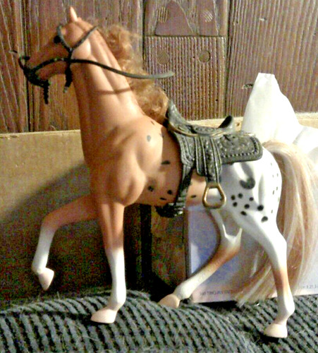 Cavallo appaloosa kid kore - cavallo,