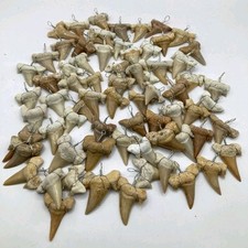 Lotto 65 Ciondoli Otodus