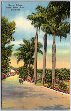 Cartolina hamilton bermuda - hamilton,