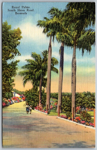 Cartolina hamilton bermuda - cartolina,
