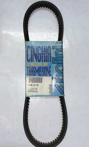 248013 cinghia polini honda - 248013,