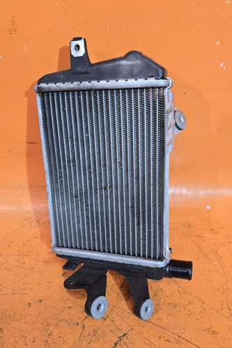 Radiatore acqua sinistro bmw - acqua,