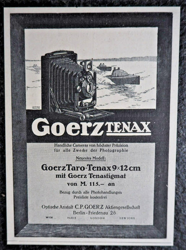 Goerz tenax taro - taro,