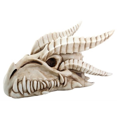 Piccolo drago teschio con