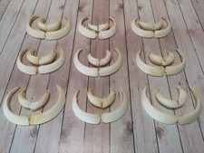 TOP armi a cuneo denti denti