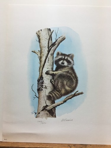 Stampa artistica firmata - , e
