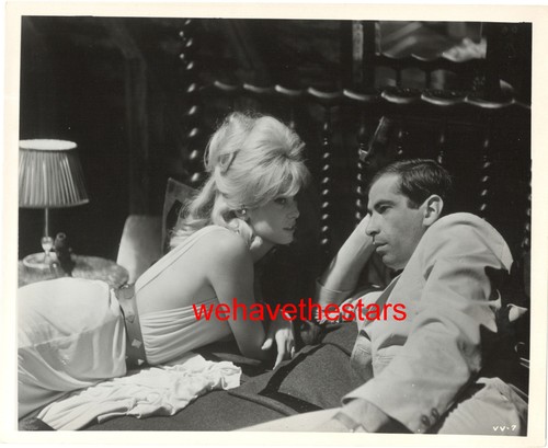 Vintage catherine deneuve - vintage,
