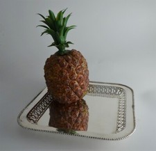 N5084 FAVOLOSO SVUOTATASCHE