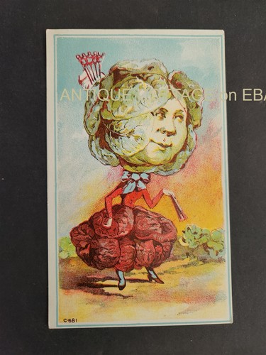 1880 antica cartolina