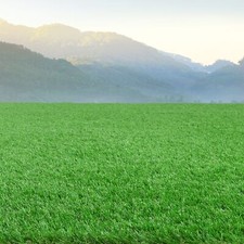 Steffensmeier erba sintetica