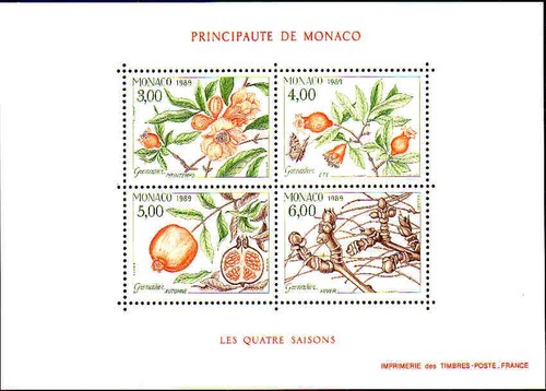 Monaco blocco nuovo - blocco,