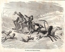 Stampa antica CACCIA AL LUPO