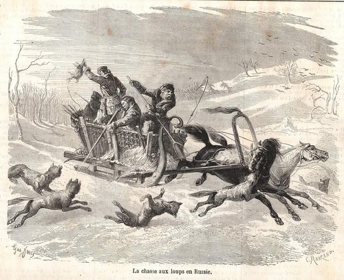 Stampa antica caccia lupo - caccia, al