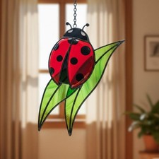 Prendisole coccinella rossa