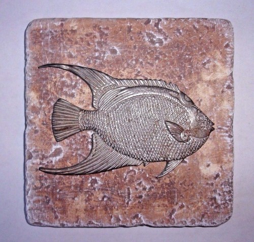 Stampo plastica pesce