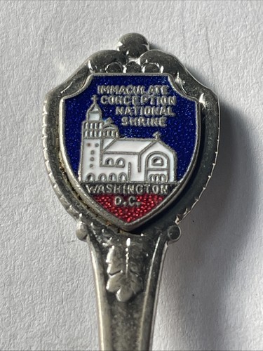 Immacolata concezione - immacolata,