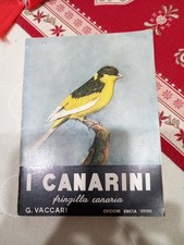 I Canarini - Fringilla Canaria