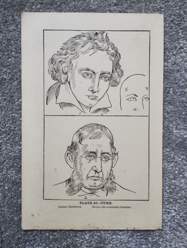 Tune phrenology - (music),