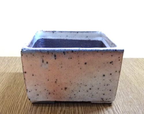 Vaso bonsai giapponese